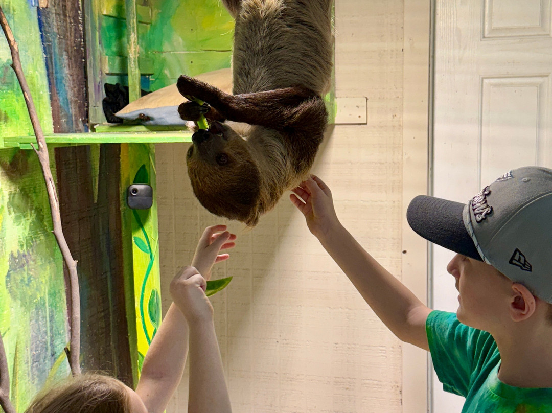 Beautiful Creatures Animal Ranch-Dunnellon必去景点