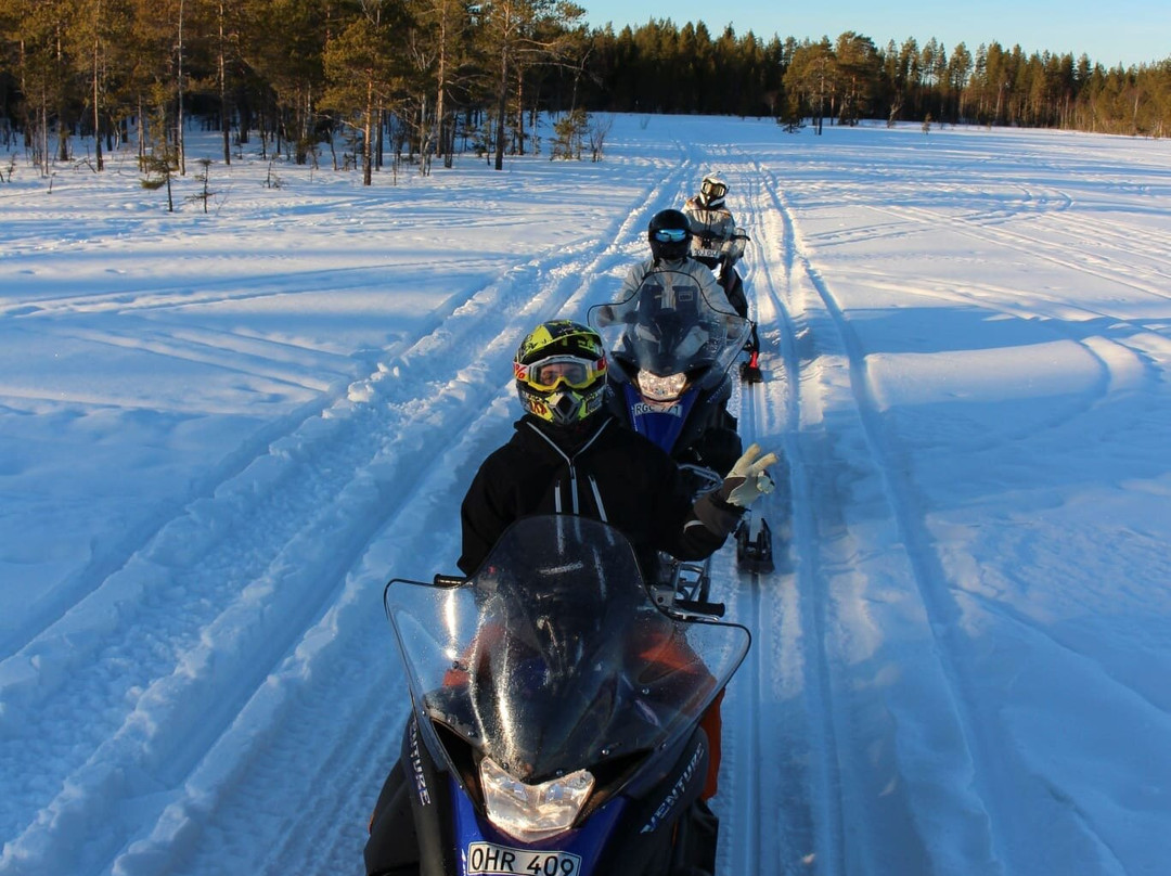 Lappvik - Snowmobile tours-Lovanger必去景点
