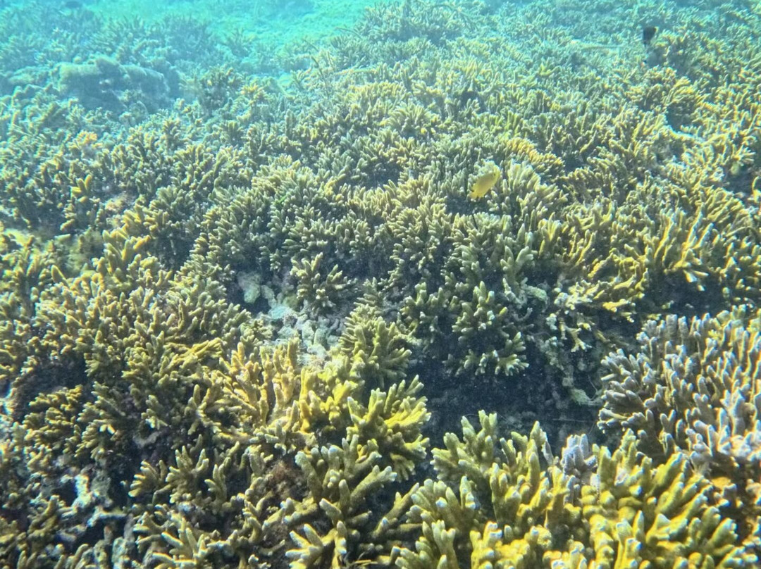 娜鲁萱岛度假村主图