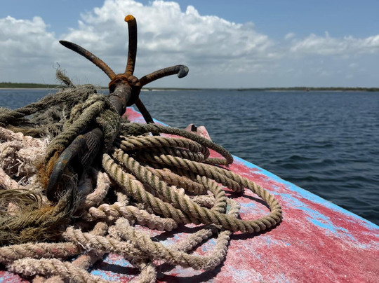 Scopriamo il Kenya con Nelson-瓦塔木必去景点