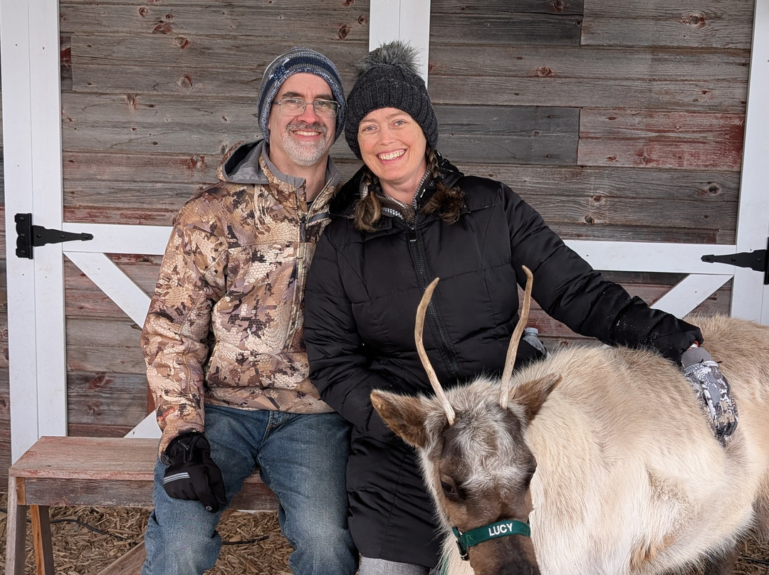 Rooftop Landing Reindeer Farm-Clare必去景点