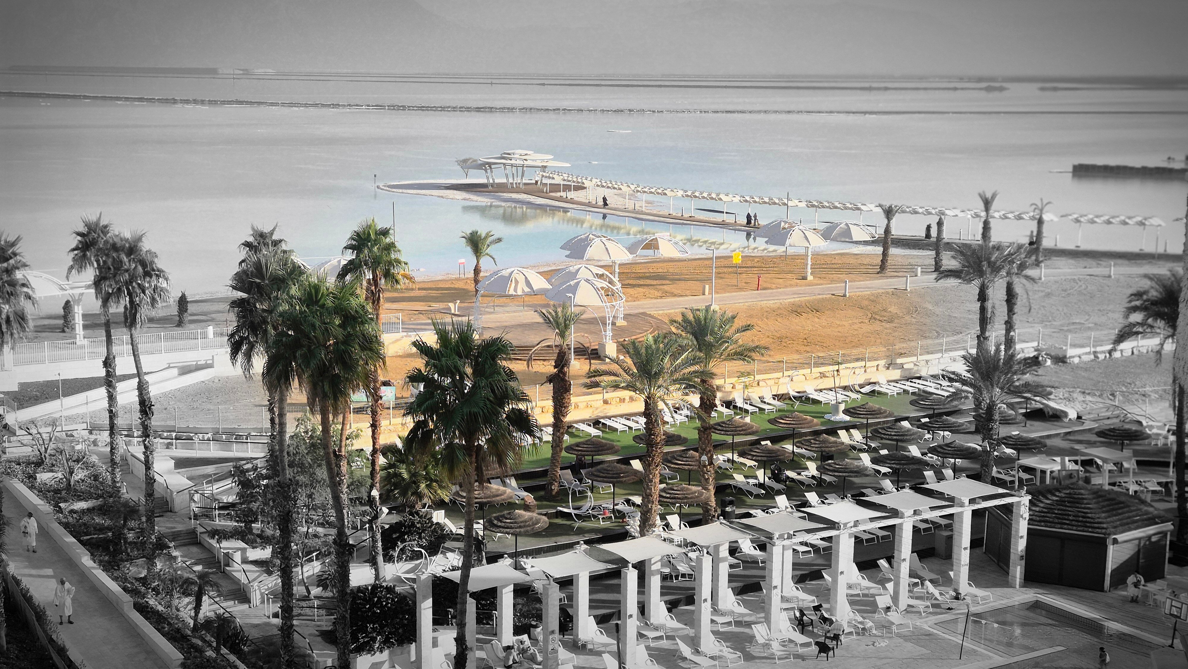 死海希律酒店-官方