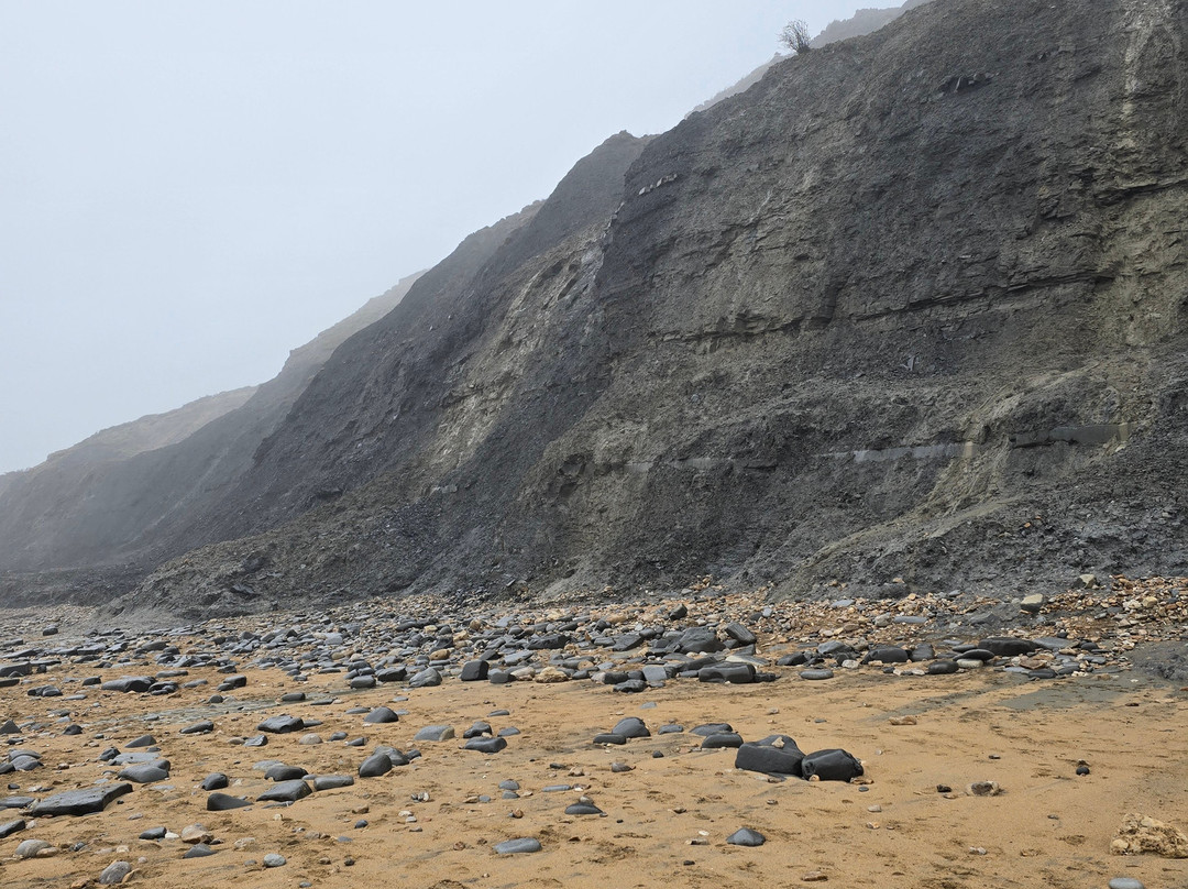 Charmouth Beach-Charmouth必去景点