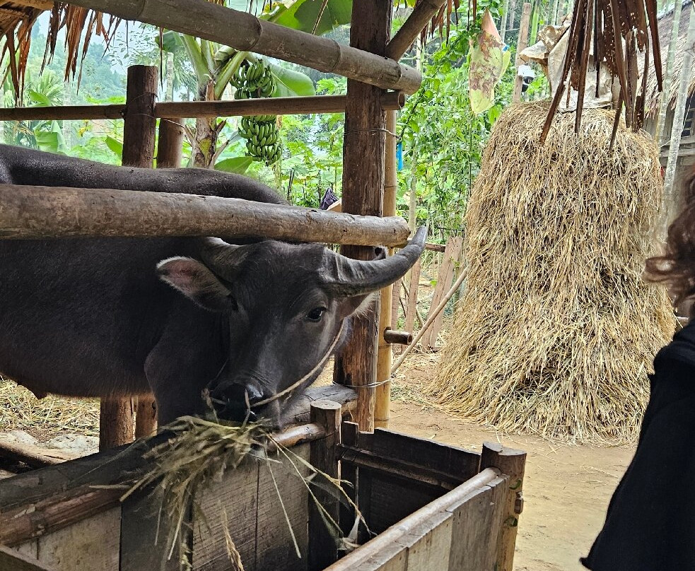 Pu Luong Ancient Stilt House-清化必去景点