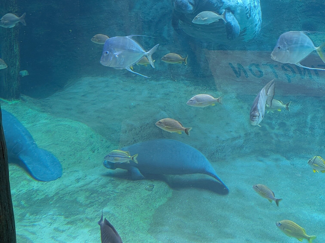 哥伦布动物园-Powell必去景点