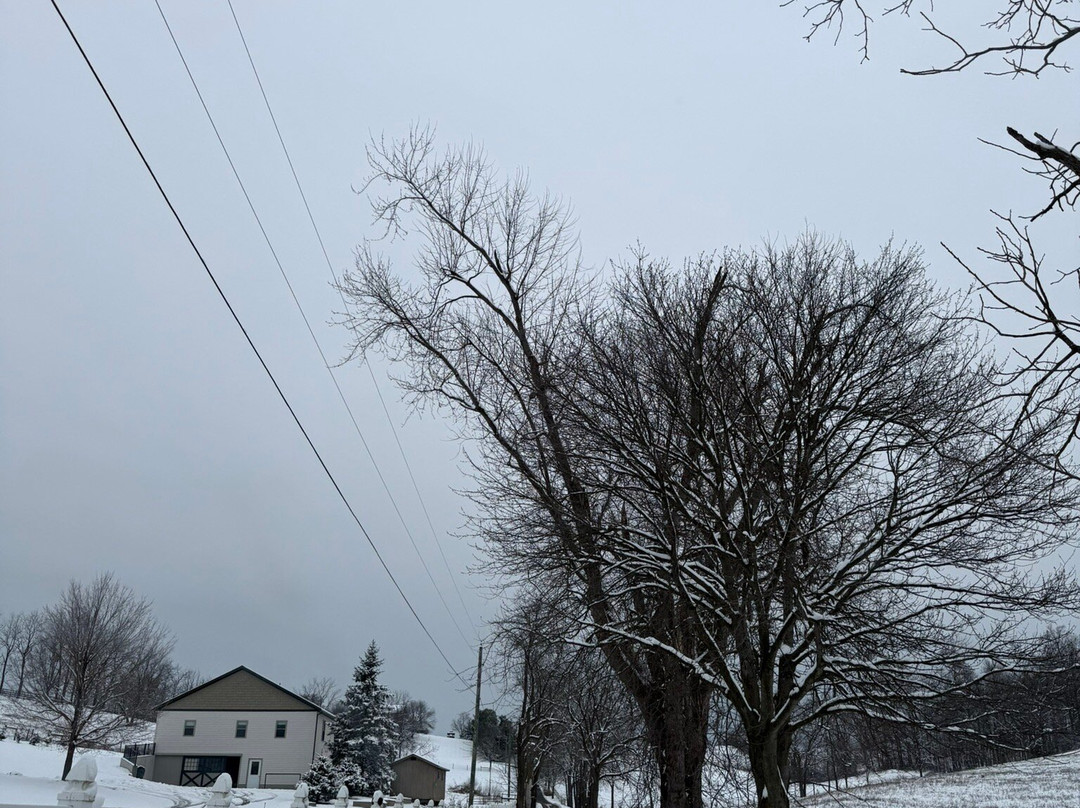 Miller Haus Bed and Breakfast主图