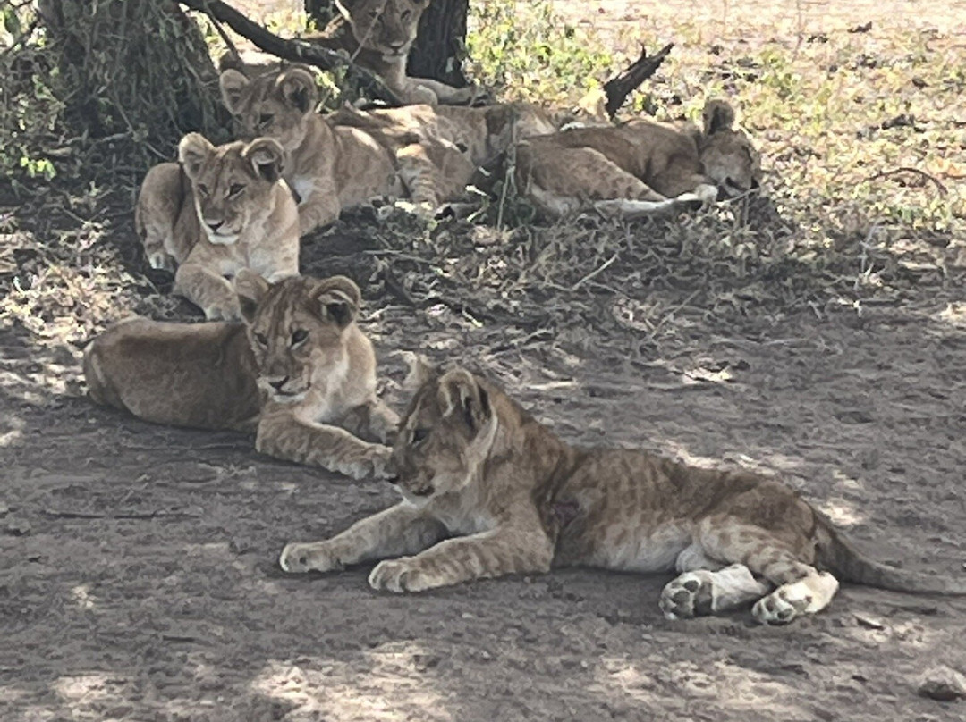 易捷旅游-一日游-阿鲁沙必去景点
