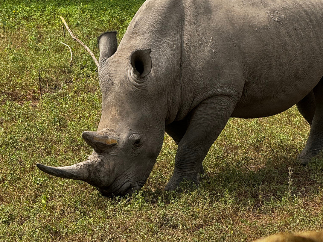 Fathala Wildlife Reserve-Dassilame Ba必去景点