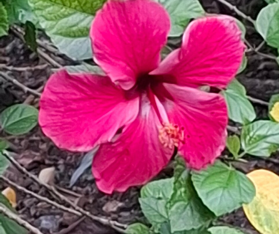 Atlantida Lodge主图