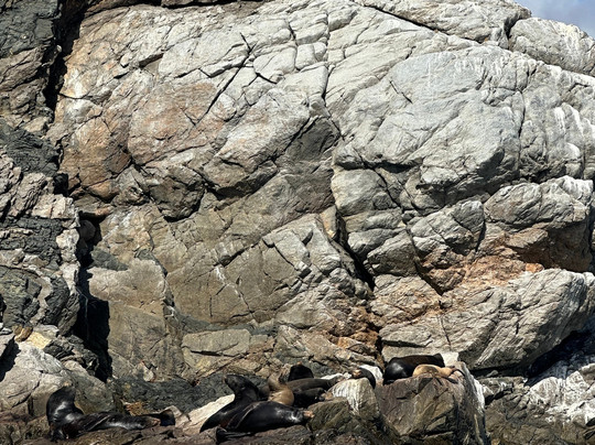 Freefall Academy-拉巴斯必去景点