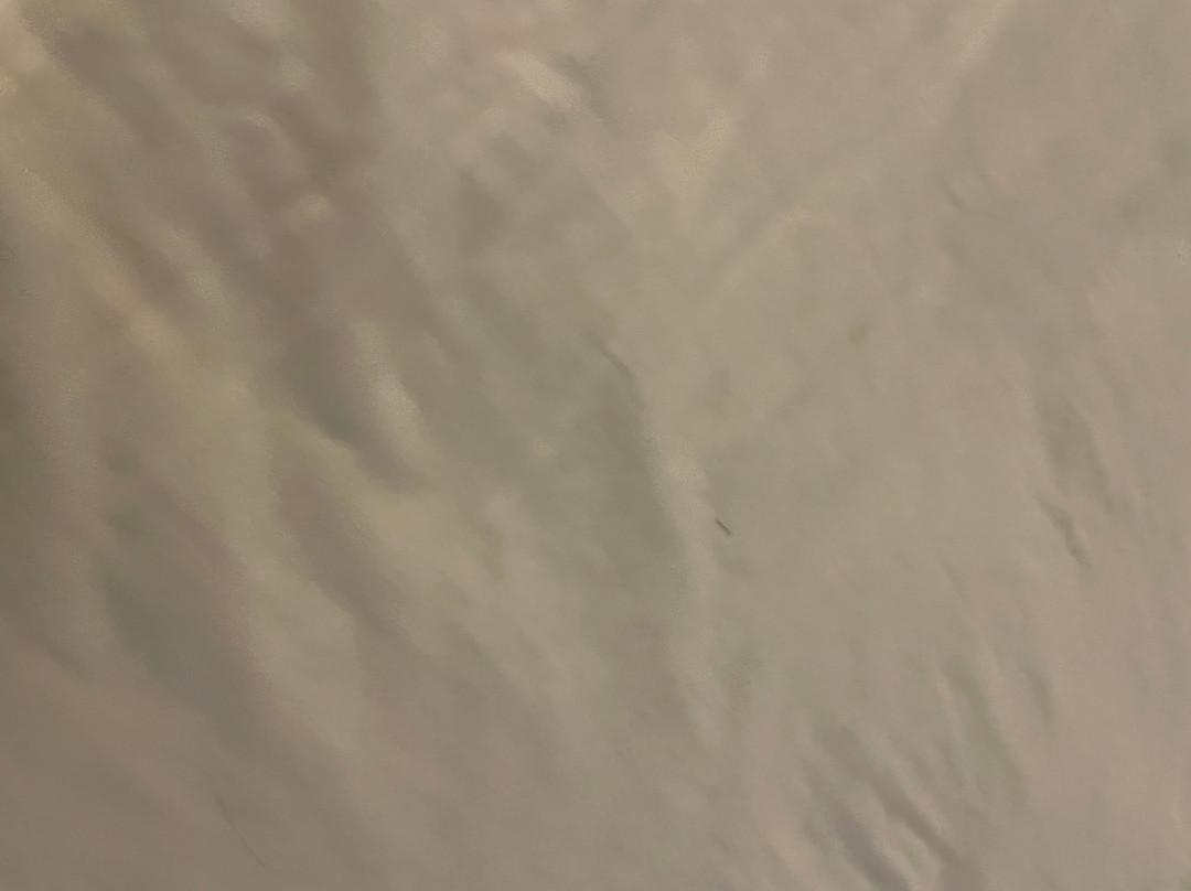 Travelodge by Wyndham Sydney主图