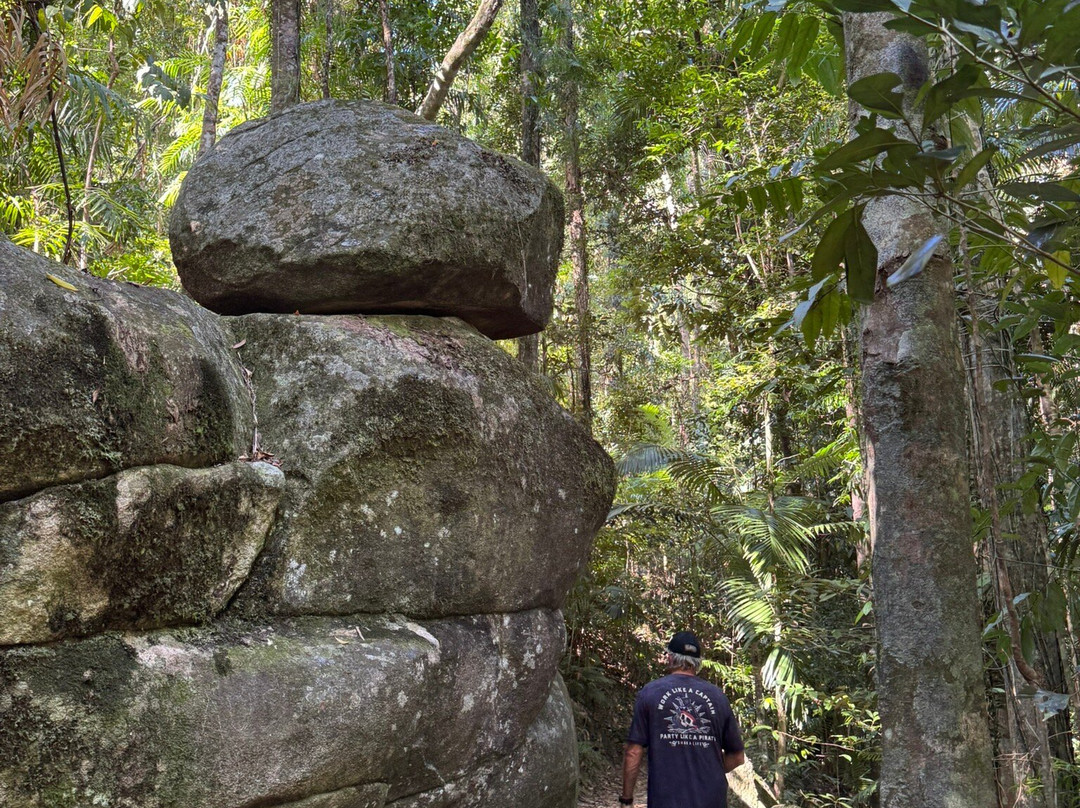Finch Hatton Gorge-Finch Hatton必去景点