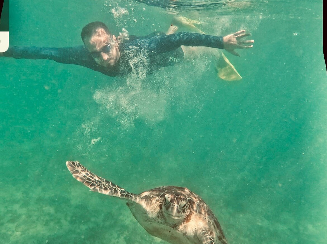 Sudath Safari and Tours Sri Lanka-锡吉里亚必去景点