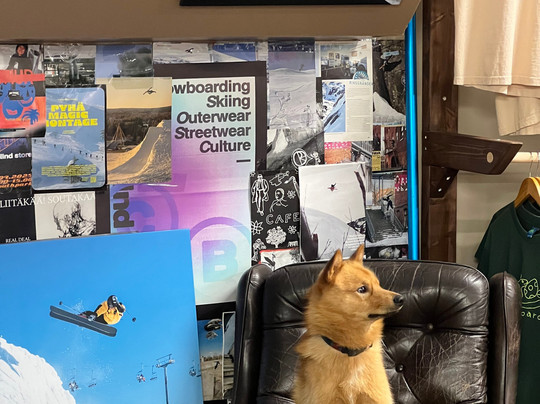 Colorblind Store-Kittilä必去景点