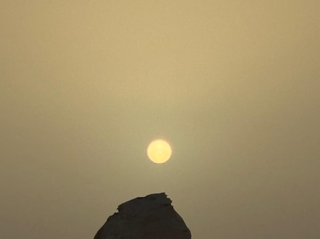 white desert travel-Bahariya Oasis必去景点