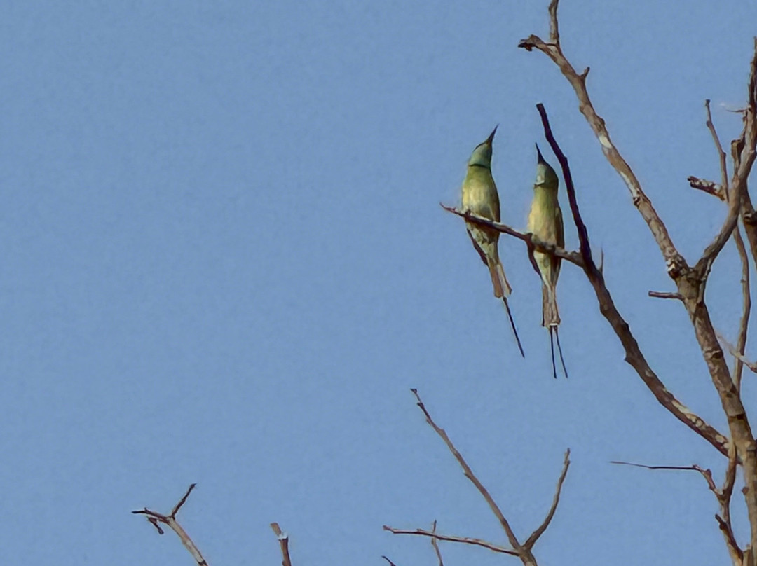 Wildlife Explorer India-新德里必去景点