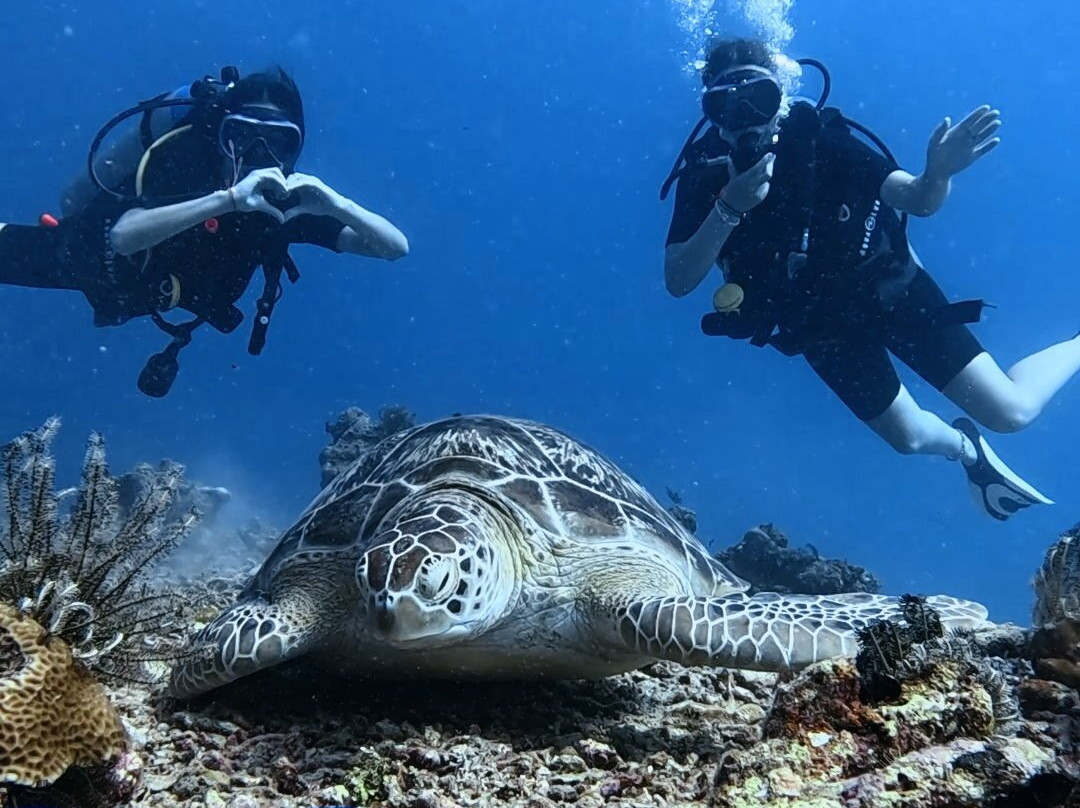 DPM Diving Gili Air-Gili Air必去景点