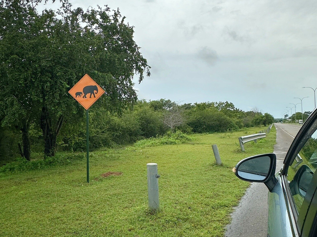 Moon Lanka Tours-希克杜沃必去景点