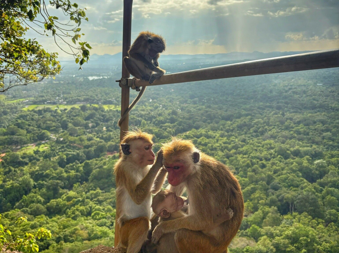 Cylon Lanka Tours And Travels-Minuwangoda必去景点