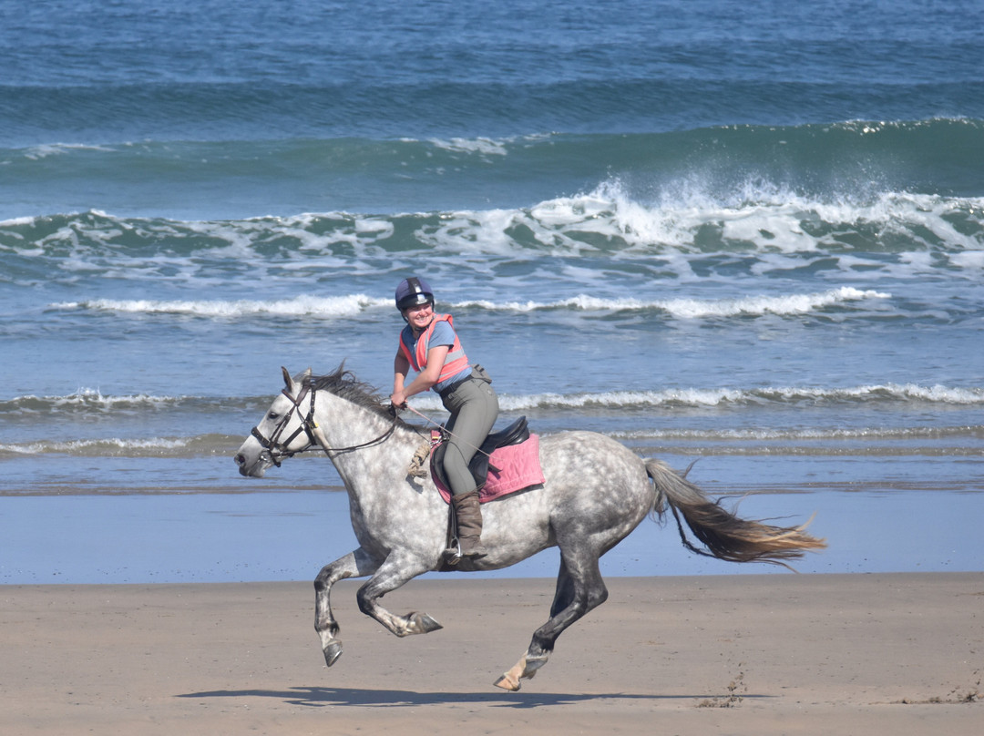 Island View Riding Stables-Grange必去景点