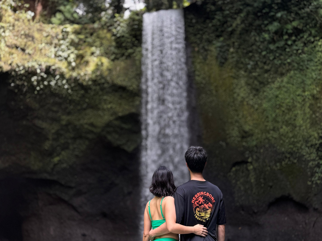 Best Ubud Driver-乌布必去景点