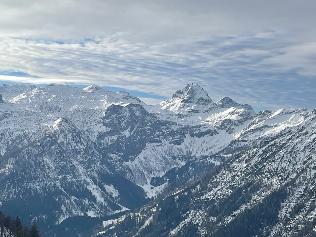 Hotel Alpenrose主图