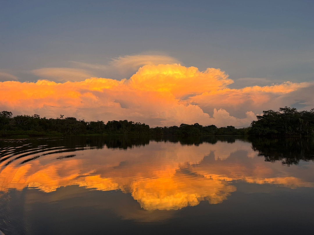 Parque Nacional del Yasuni - Fernando guia en la Amazonia-Coca必去景点