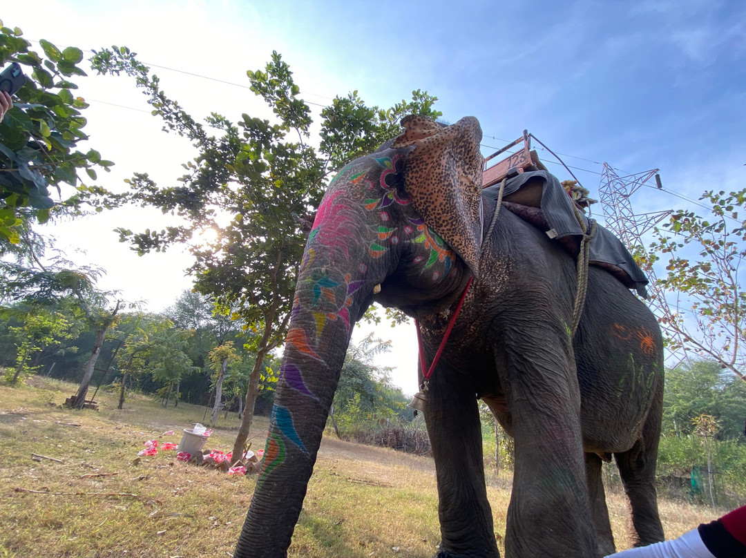 Elephant Joy-Amer必去景点