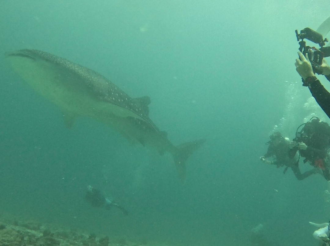 Blue Horizon-马累必去景点