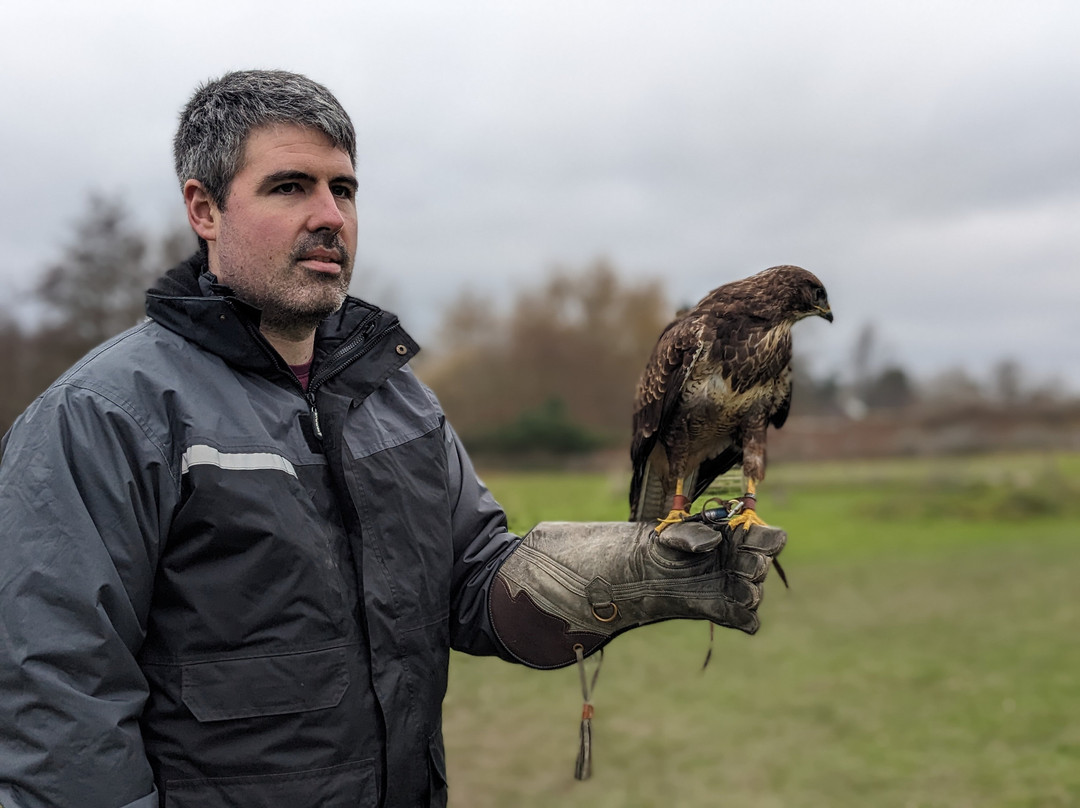 UK Owl And Raptor Centre-Groombridge必去景点