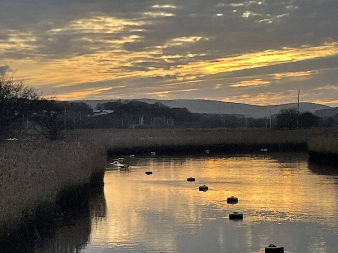 Birds Of Poole Harbour Events-普尔必去景点