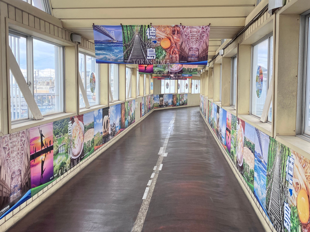 Nankai Ferry-和歌山市必去景点