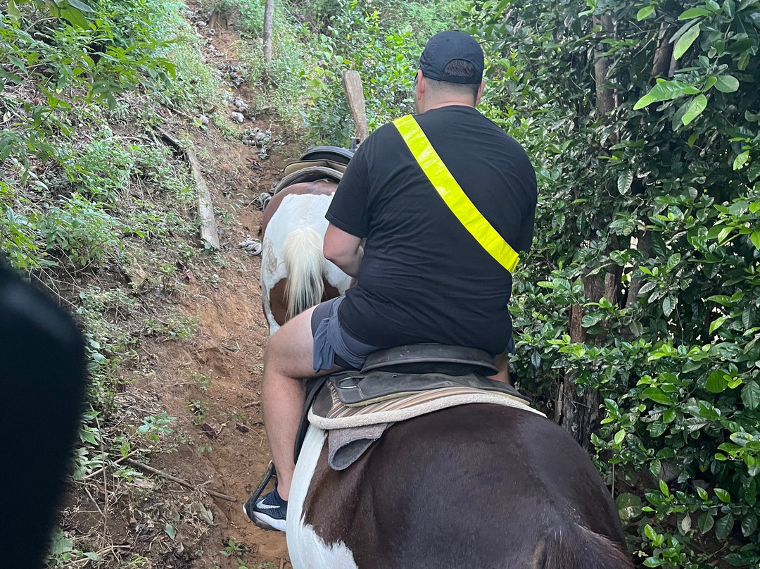 The Monkey Farm-Playa Ocotal必去景点