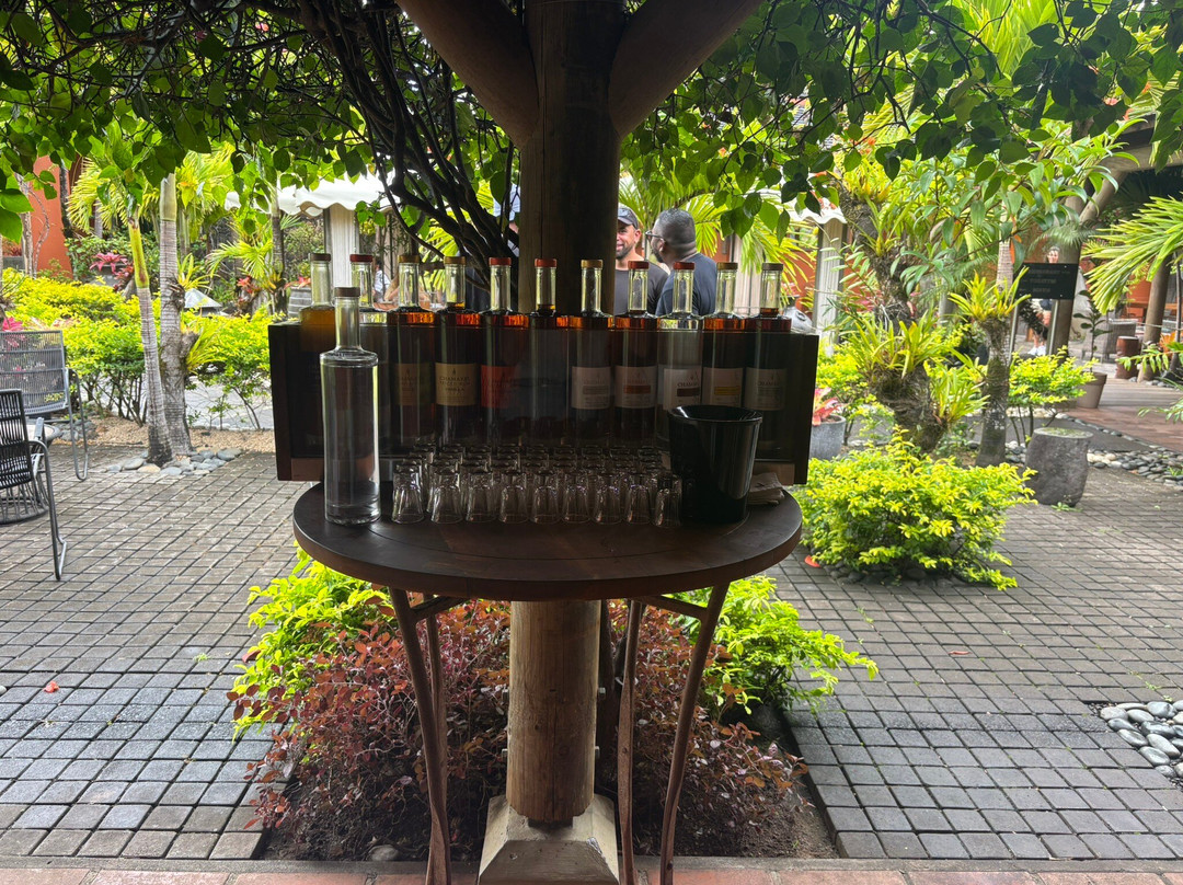 Sud Sauvage Adventure-Surinam必去景点