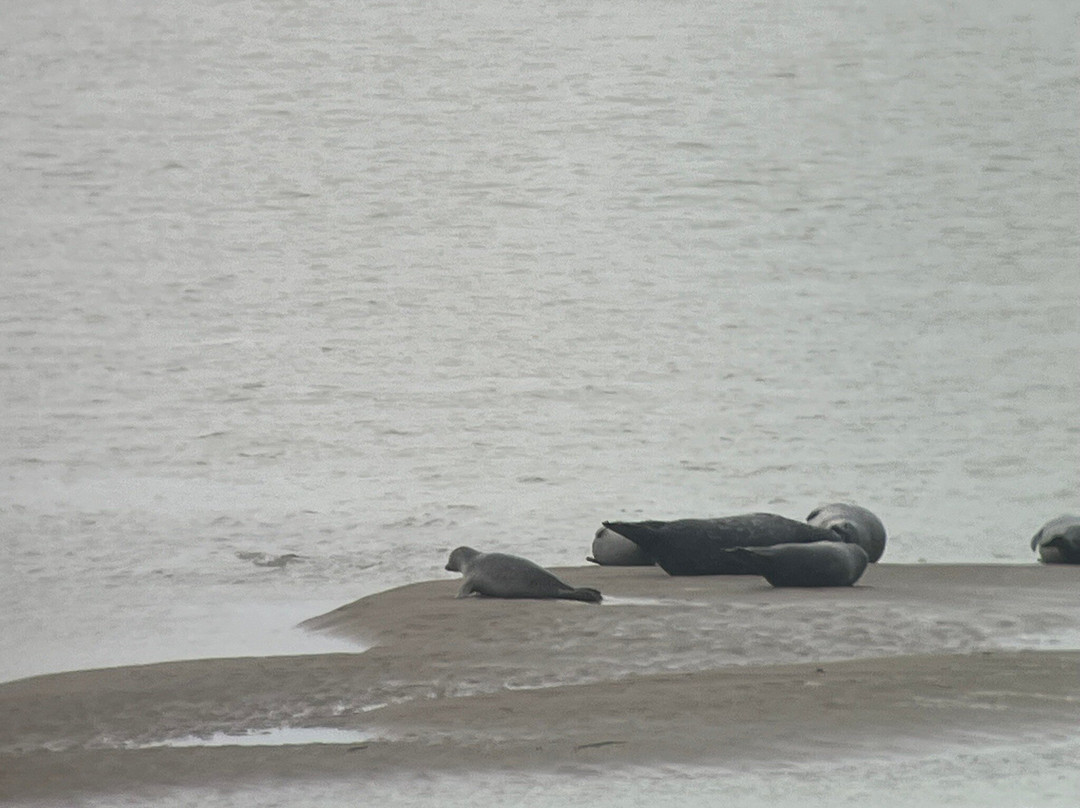 Passion Baie de Somme-Le Crotoy必去景点
