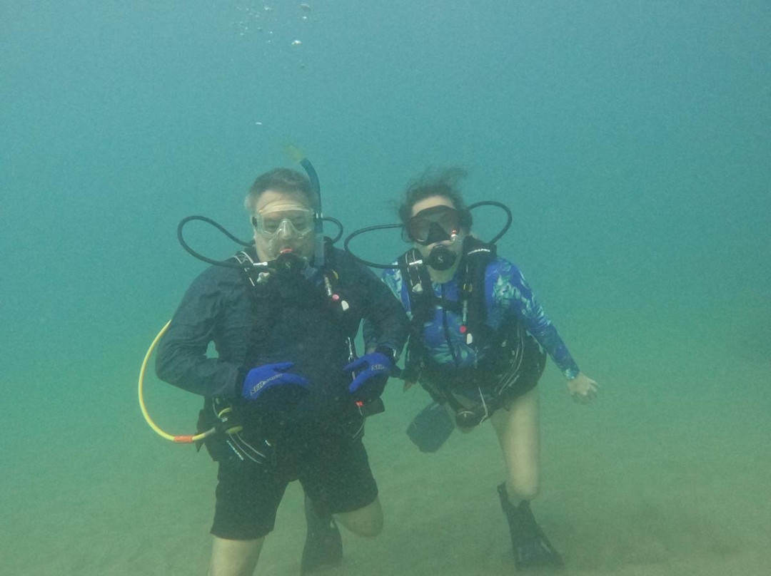 Aquatica Underwater Adventures-Aguadilla必去景点