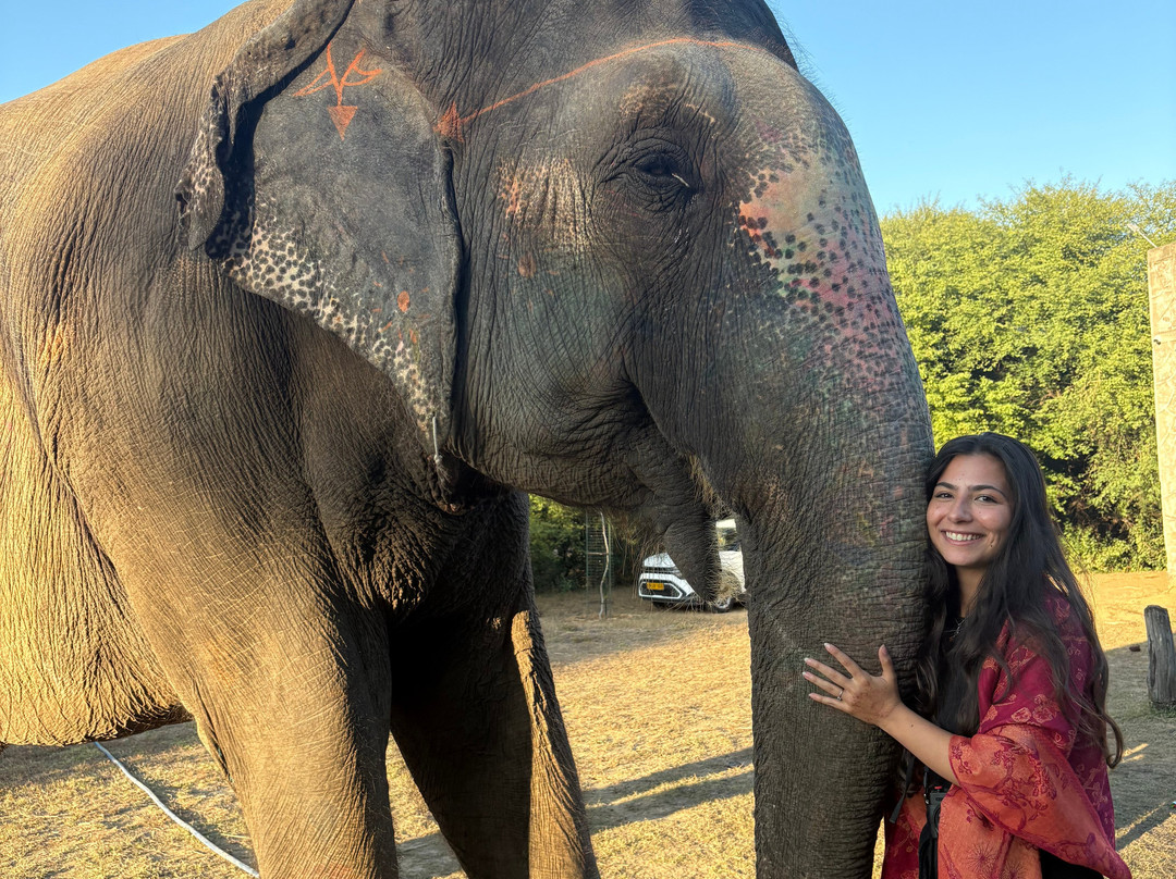 Elefanjoy Elephant Sanctuary-斋蒲尔必去景点