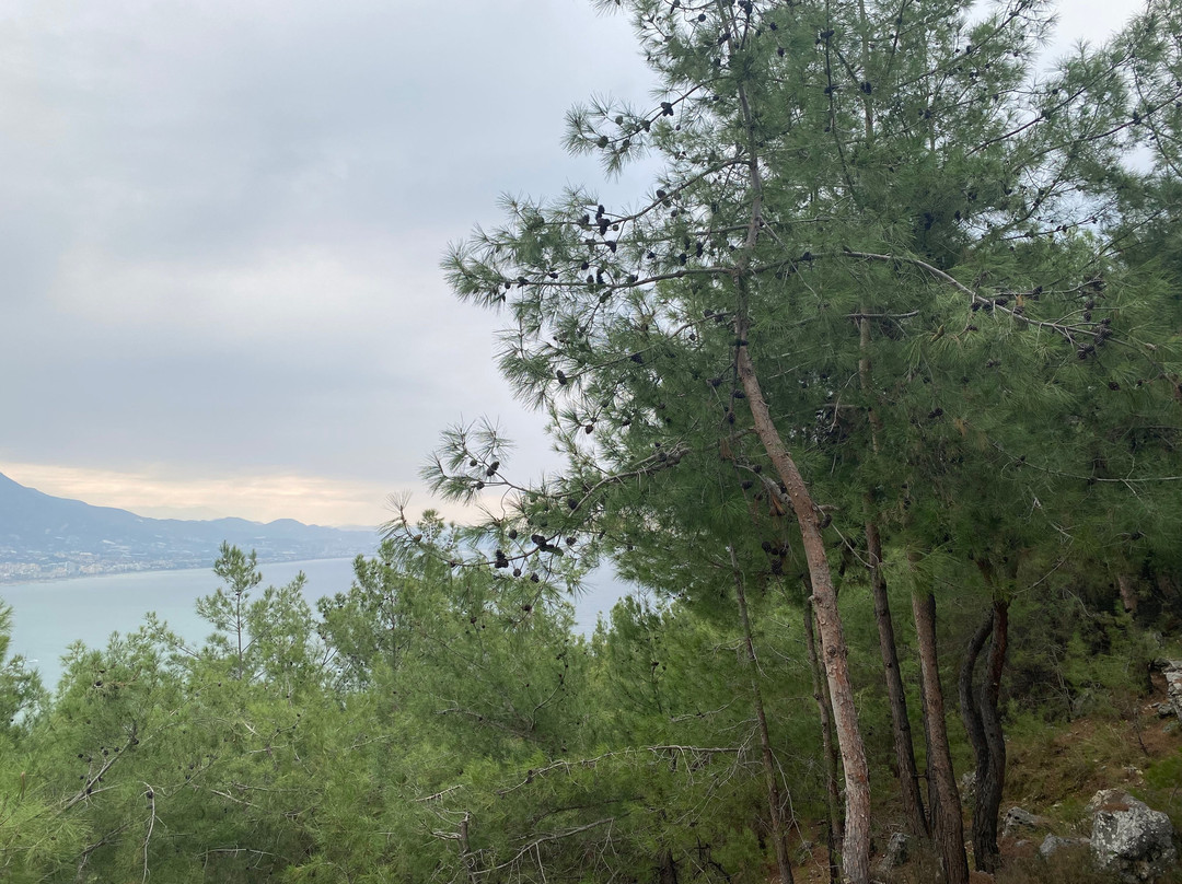 Alanya Teleferik-阿兰亚必去景点