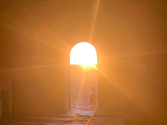 Chegaga spirit-迈哈米德必去景点