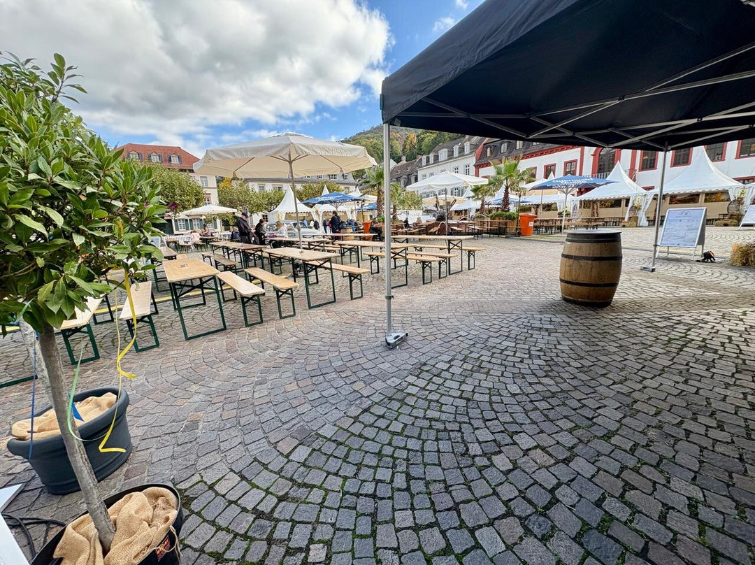 Carl's Square (Karlsplatz)-海德尔堡必去景点