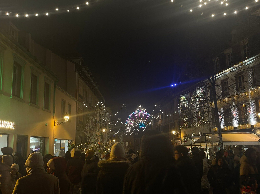 Barque Colmar "au fil de l’eau" - Sweet Narcisse-科尔马必去景点
