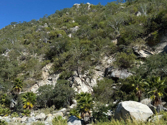 Buena Vista Oceanfront & Hot Springs Resort主图