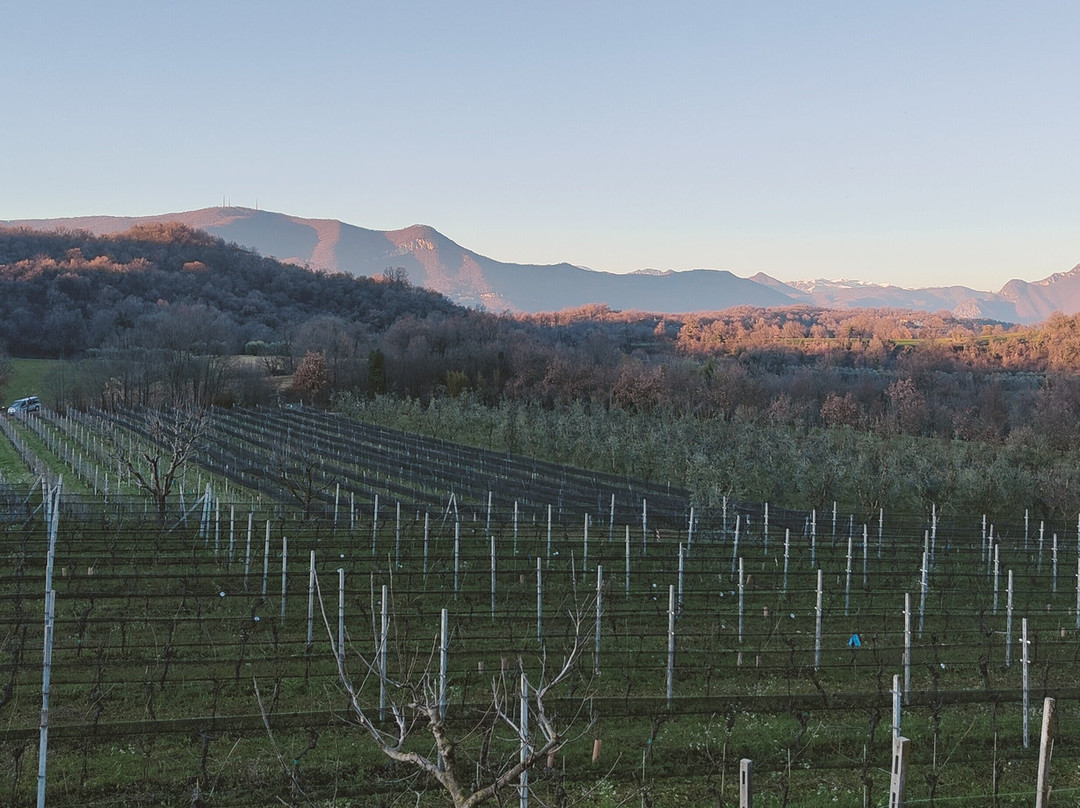 Podere Dei Folli-Polpenazze del Garda必去景点