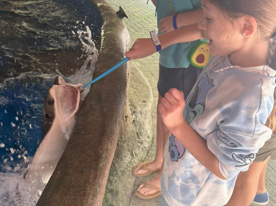 Florida Keys Aquarium Encounters-马拉松必去景点