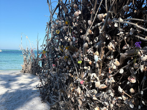 Florida Blue Adventures-布雷登顿必去景点