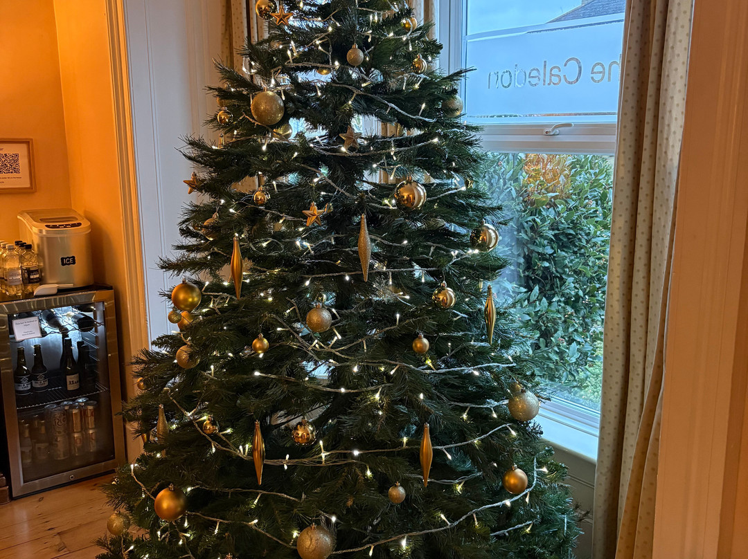 The Caledon Guest House主图