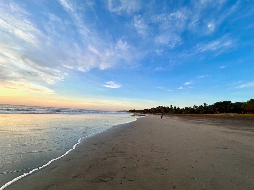 Tides Oceanfront Resort主图