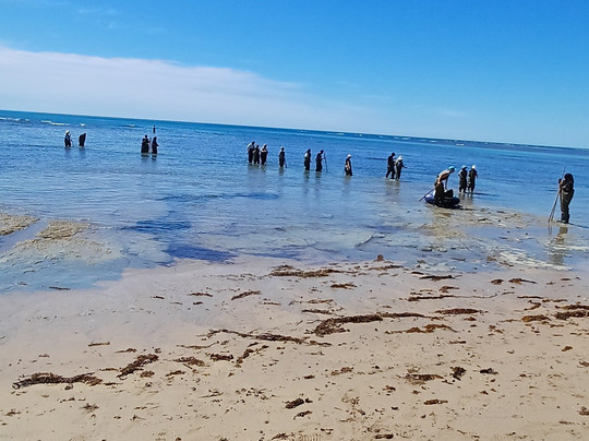 Dive Tatapouri-Gisborne Region必去景点