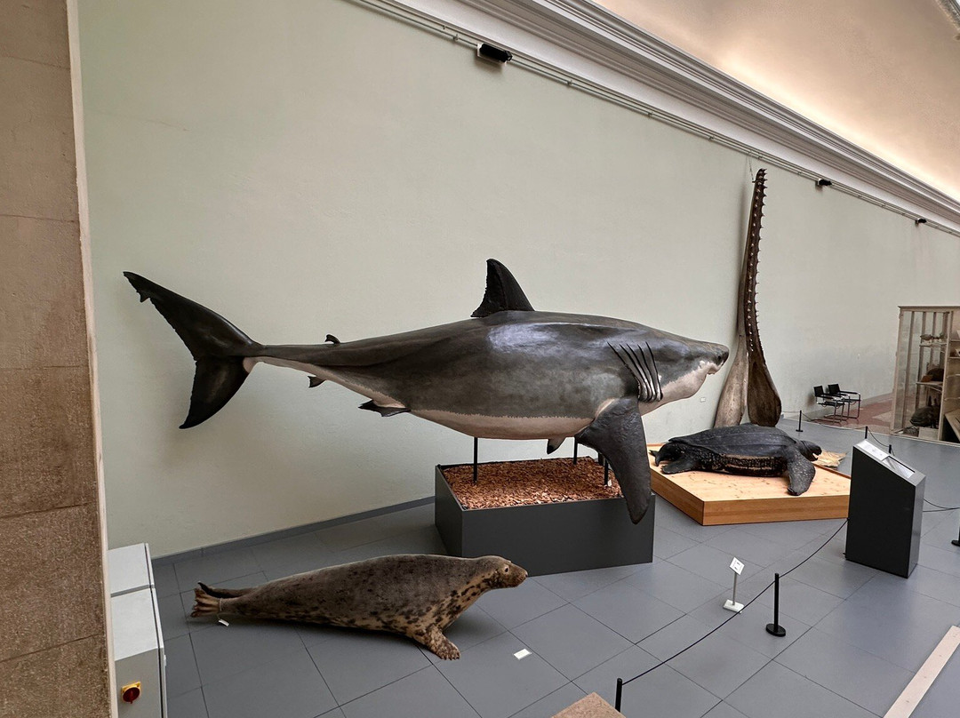 Palais de Rumine-洛桑必去景点