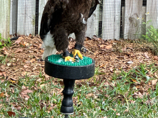 Moccasin Lake Nature Park-克利尔沃特必去景点